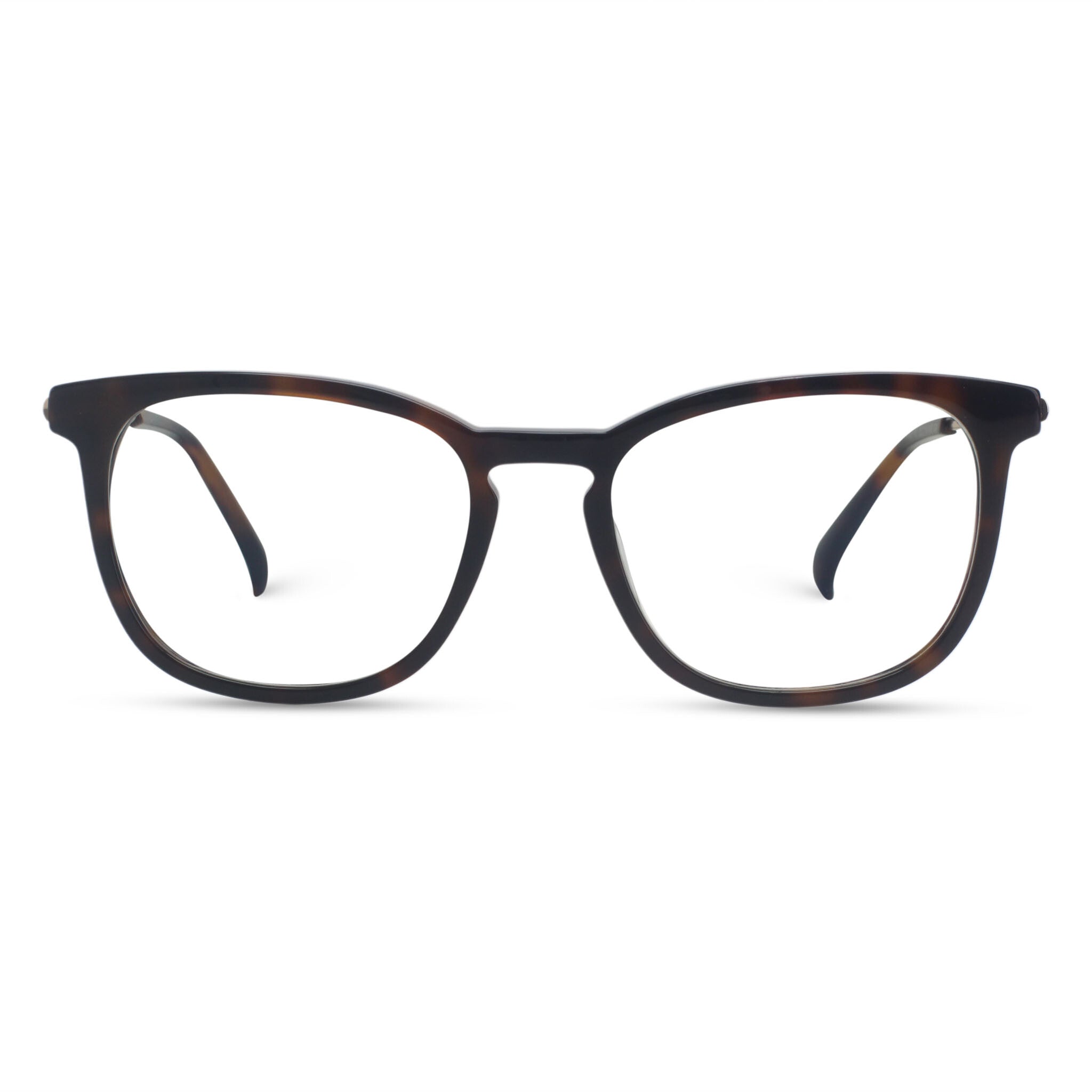 Tortoiseshell plastic and metallic eyeglasses