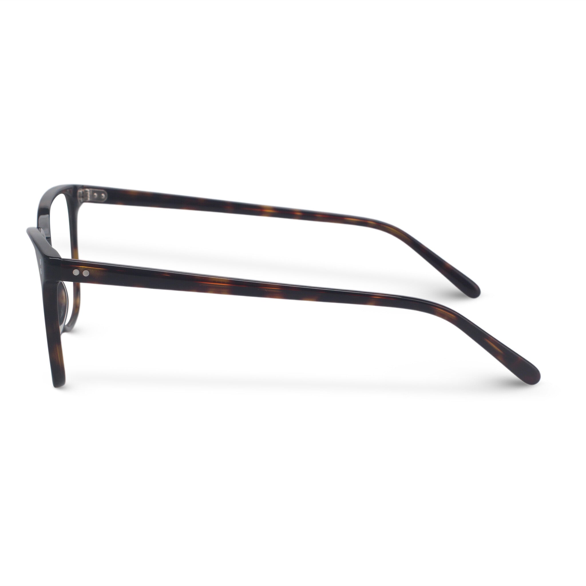 brown tortoise plastic eyeglasses