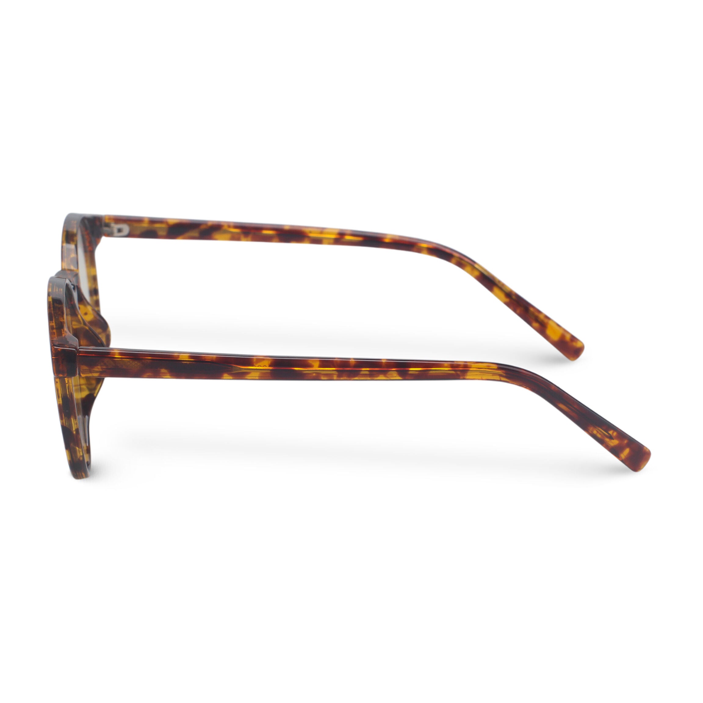 Classic round tortoise eyeglasses