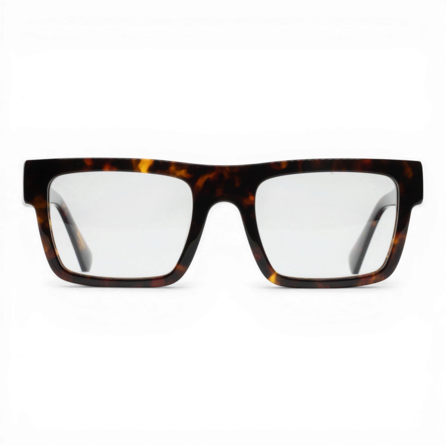 recatnagle tortoise glasses